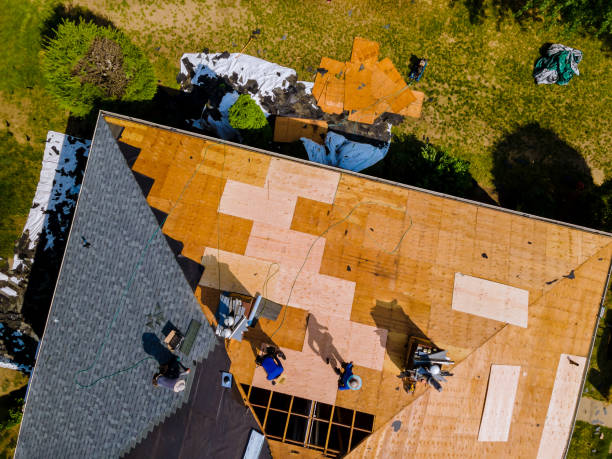 Best Roof Repair Services  in Lyman, MS